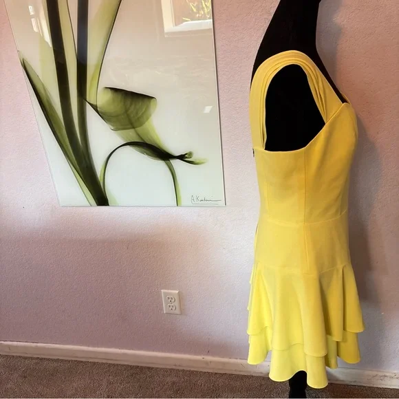 New Alice and Olivia dress size 10 - Picture 3 of 6